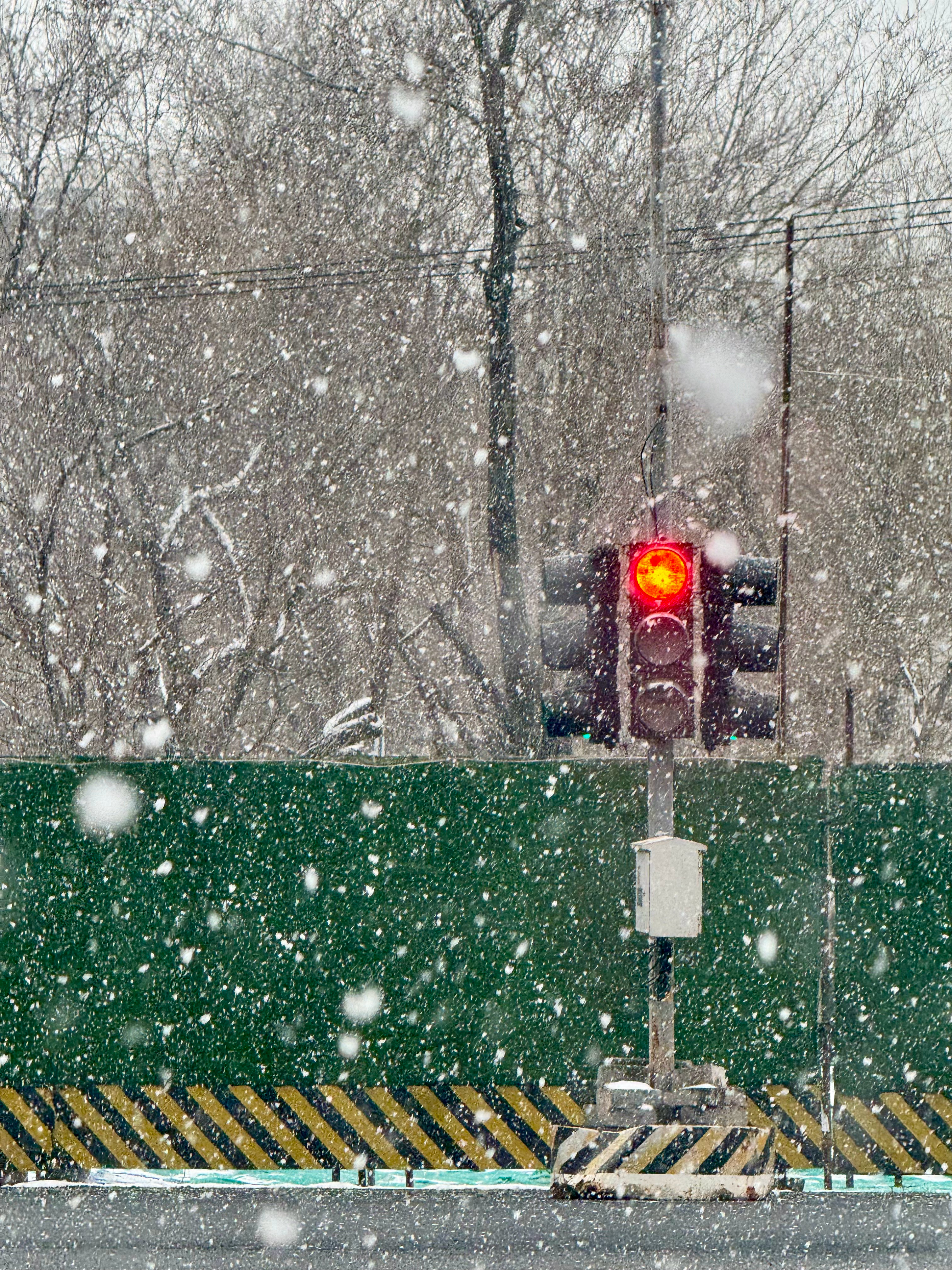 北京这惊蛰❄️ 确实很惊🐛虫子都傻了：“不儿惊蛰么？起早了？”瑞雪兆丰年！李楠