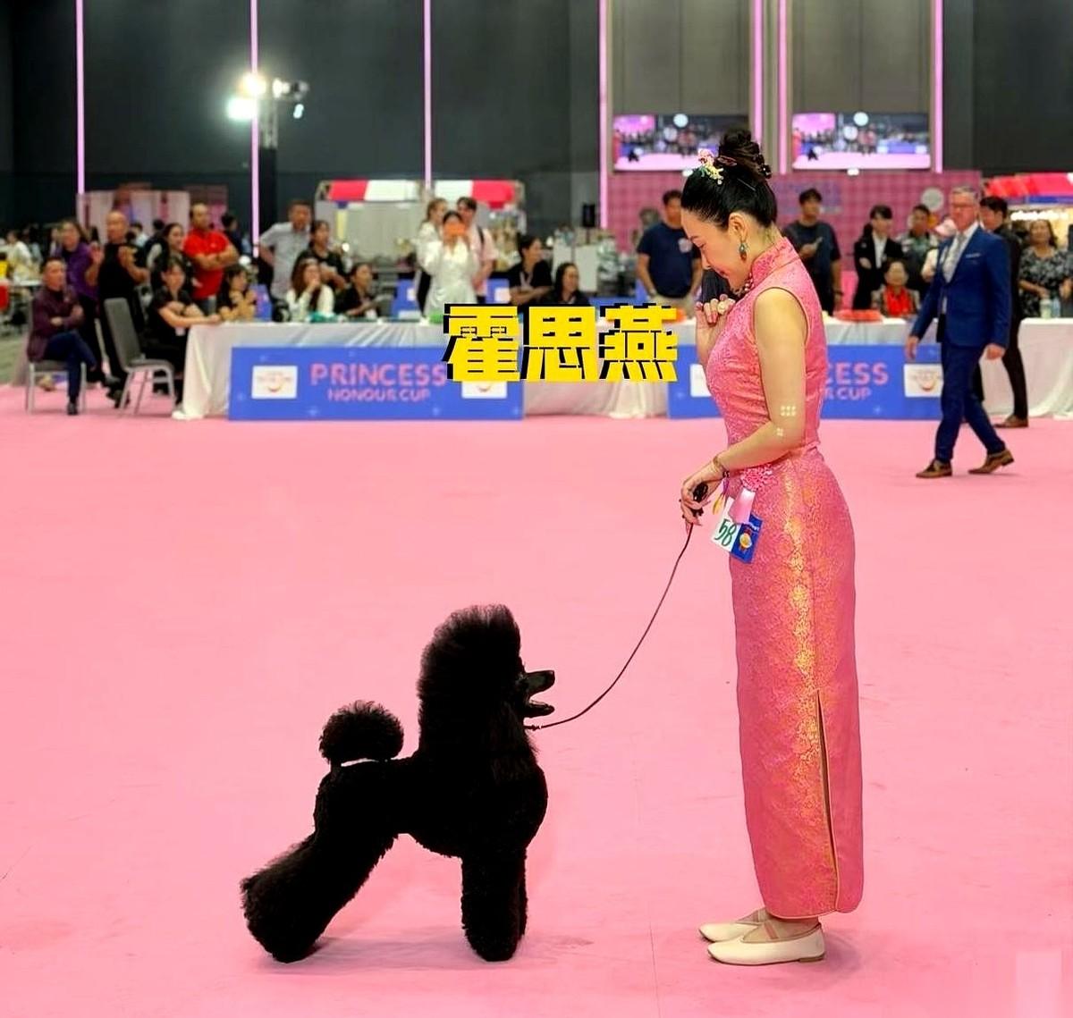 霍思燕家的门槛，就是一条“分界线”。
一只小母狗摇着尾巴进来，当场就得改姓，跟着