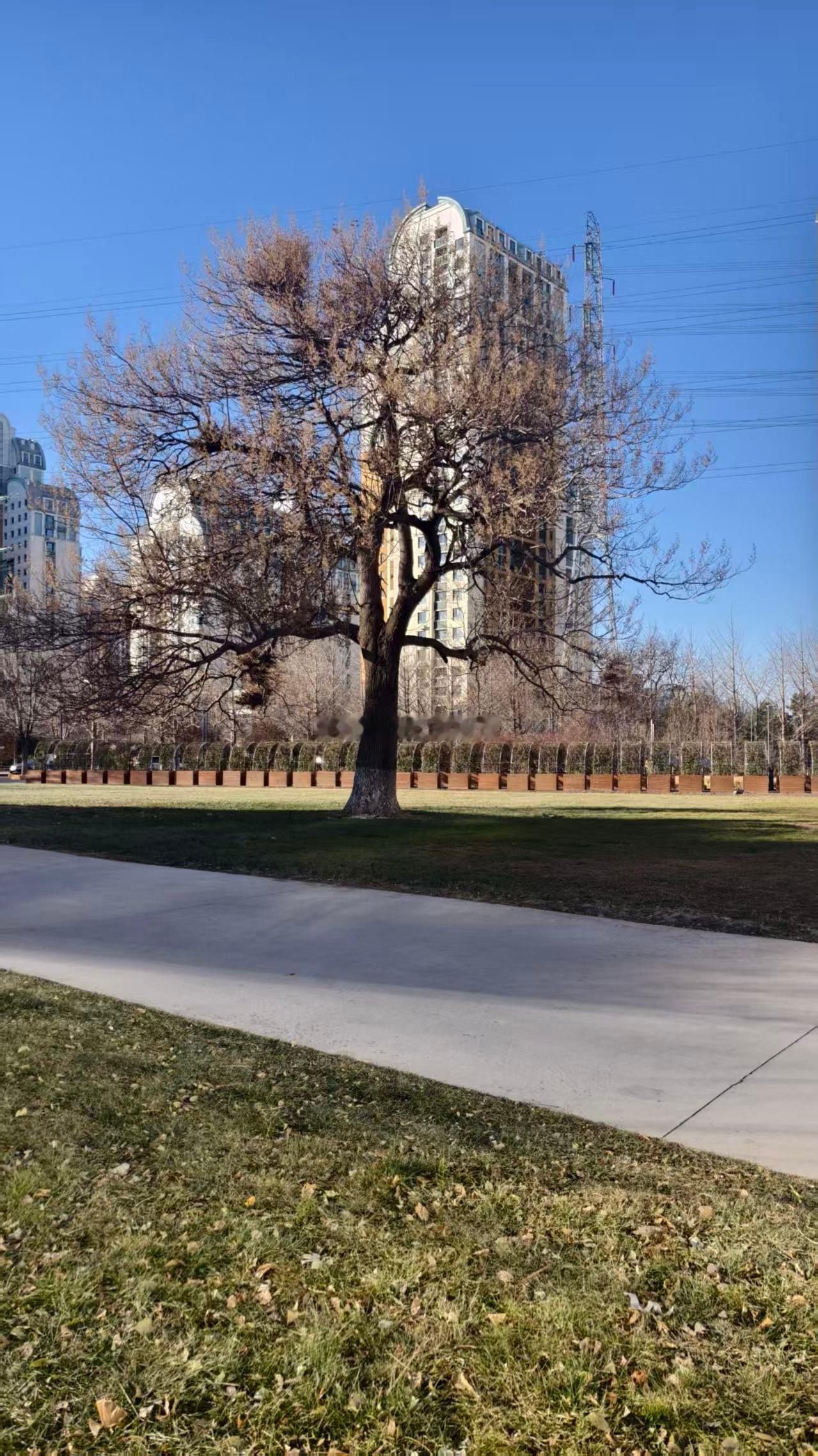 八字过热或过寒对健康的一些影响过寒过热的命例，都会感到全身是病，容易令人有情绪病