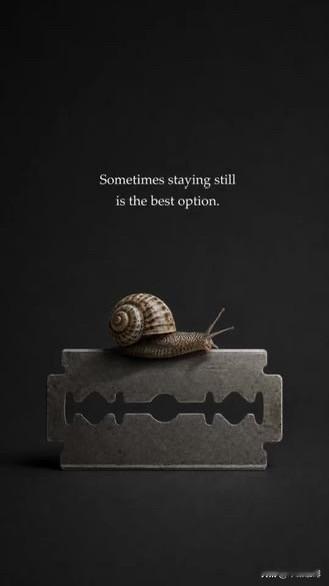 staying still is the best option.