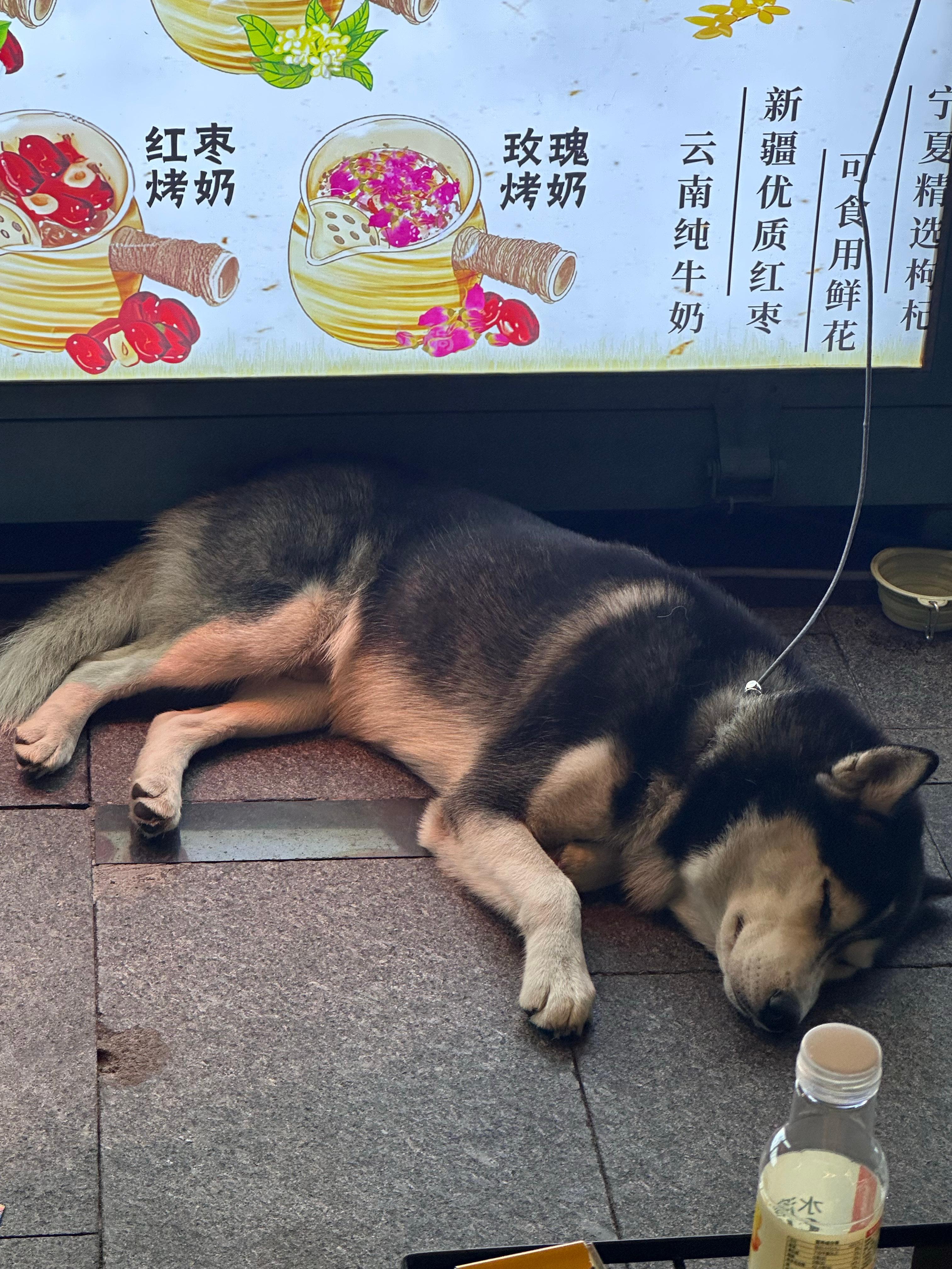 正在加班的状态如图