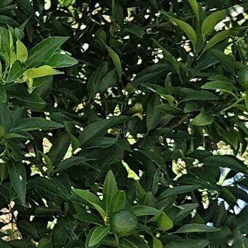 生活处处皆是两难，执念再多终要学会接纳。从满心委屈到从容释怀，慢慢学会看淡世事，