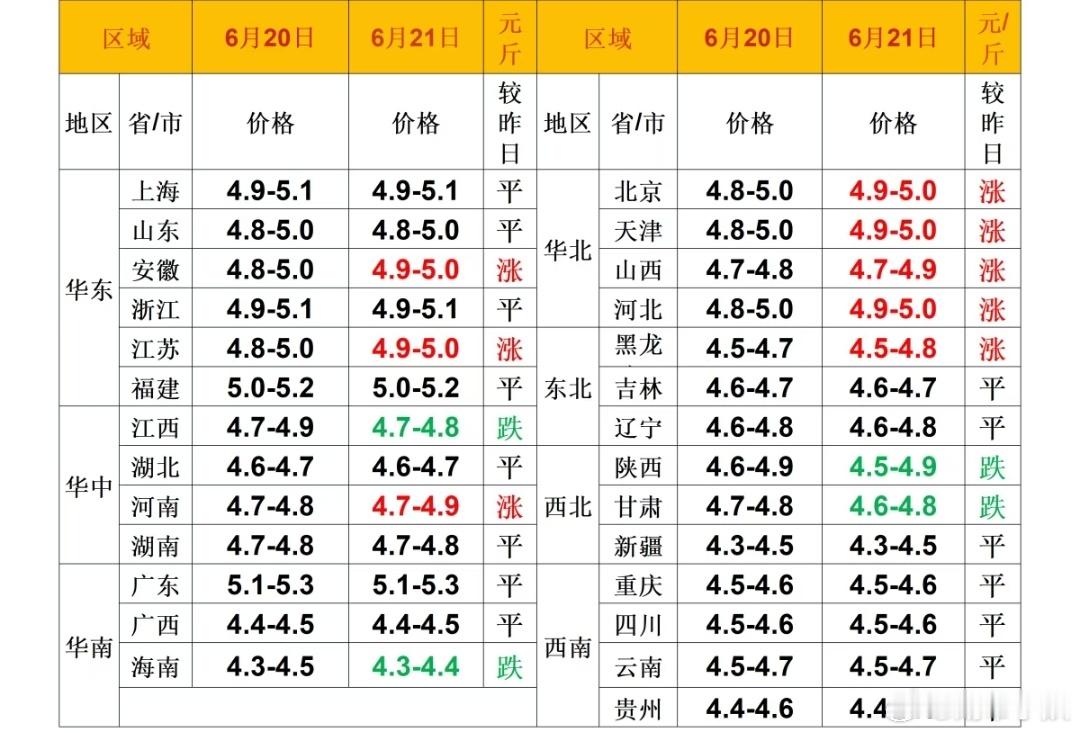 每日猪价 