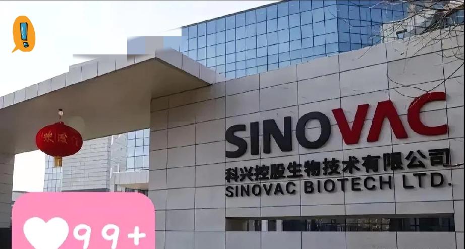 科兴退市了，
因为科兴没有按时提交2024年财报。
今年7月份，科兴宣布分红，分