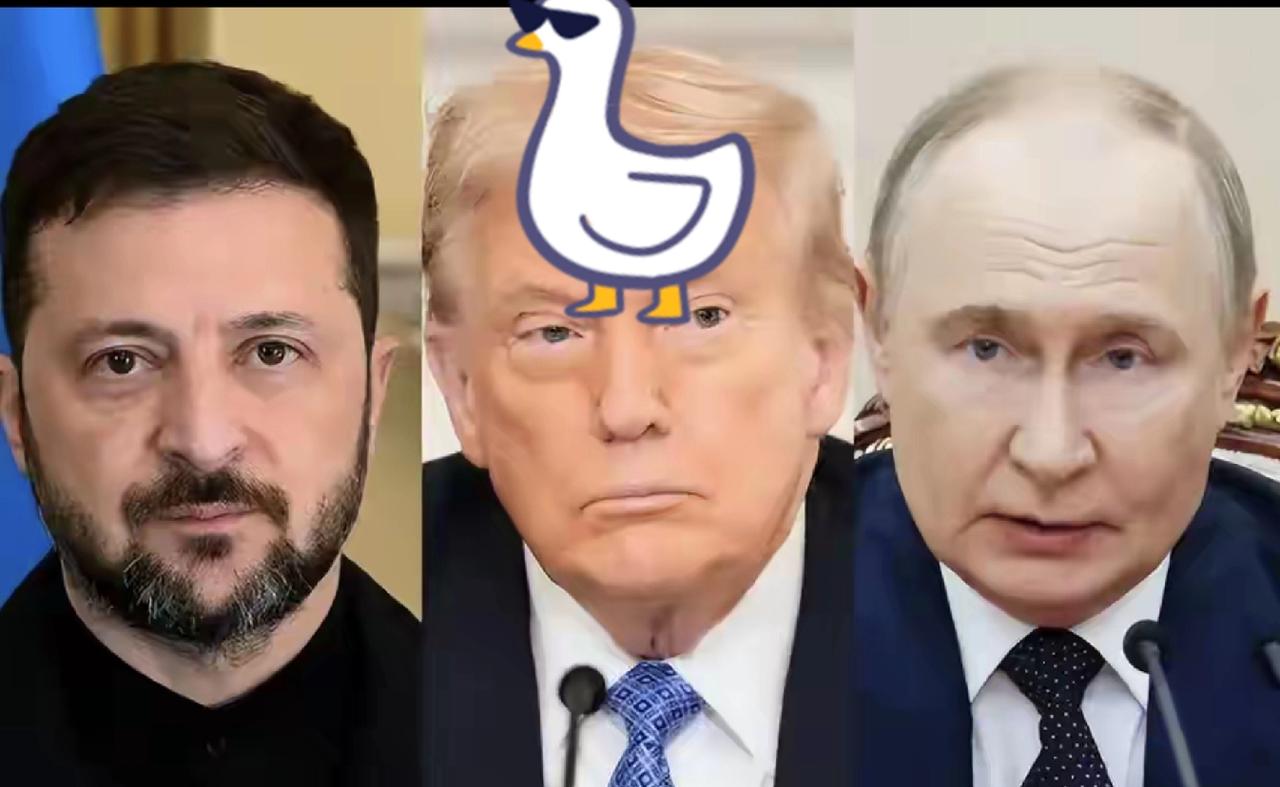 不到72小时，
俄再次发动猛攻，
普京新目标吓坏西方，美英法乱套了

刚迈入20