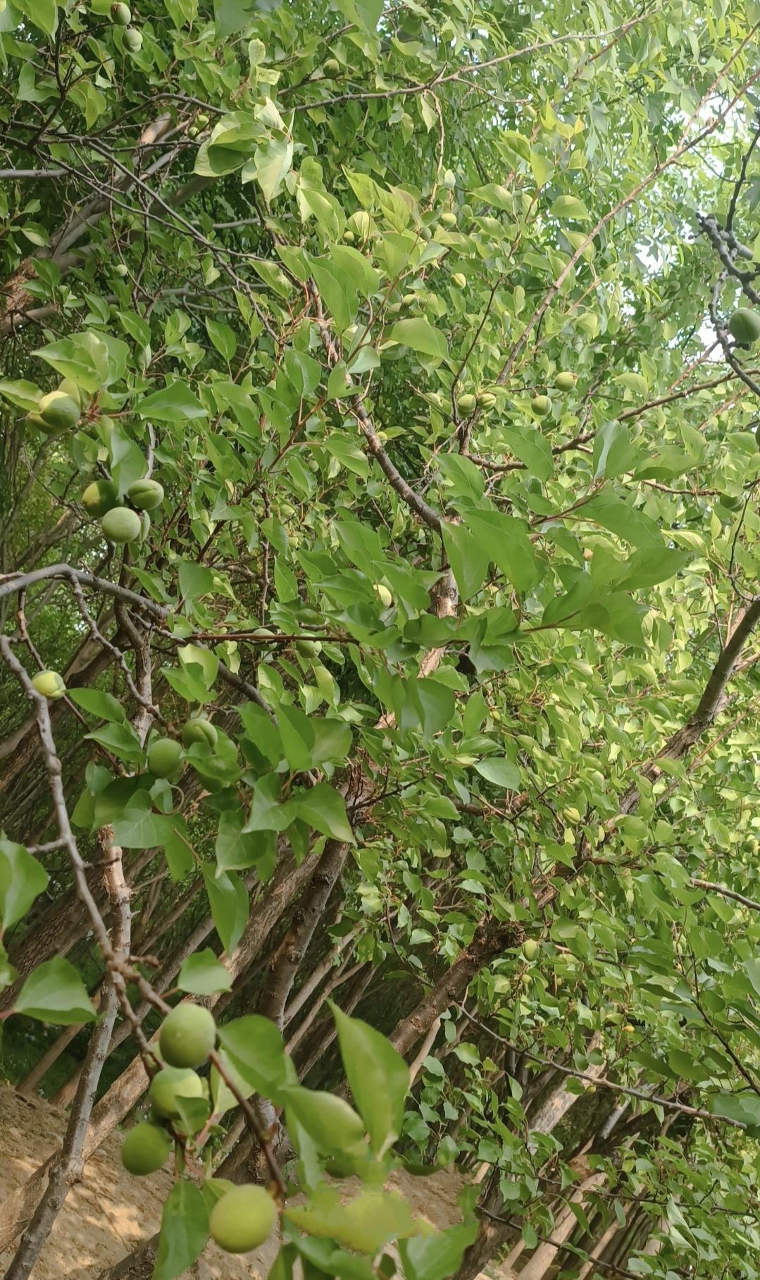 说话两个问题要注意:
      一是话不投机半句多。
       说话就是让