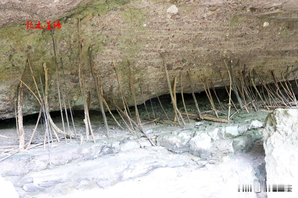 游历山水，经常见到一些奇特的现象，有时看到岩壁之下，有很多木棒或者石头支撑岩体，