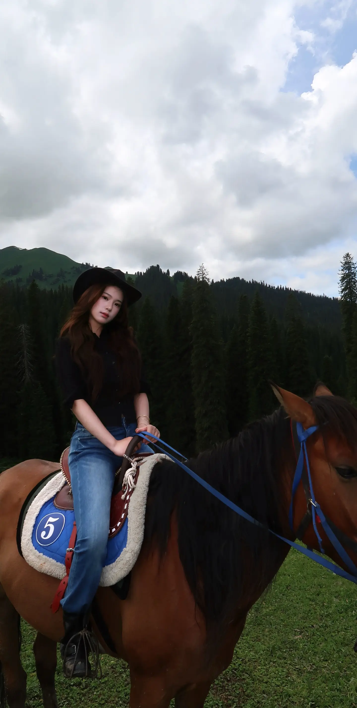 🐎没有缰绳能束缚你的灵魂