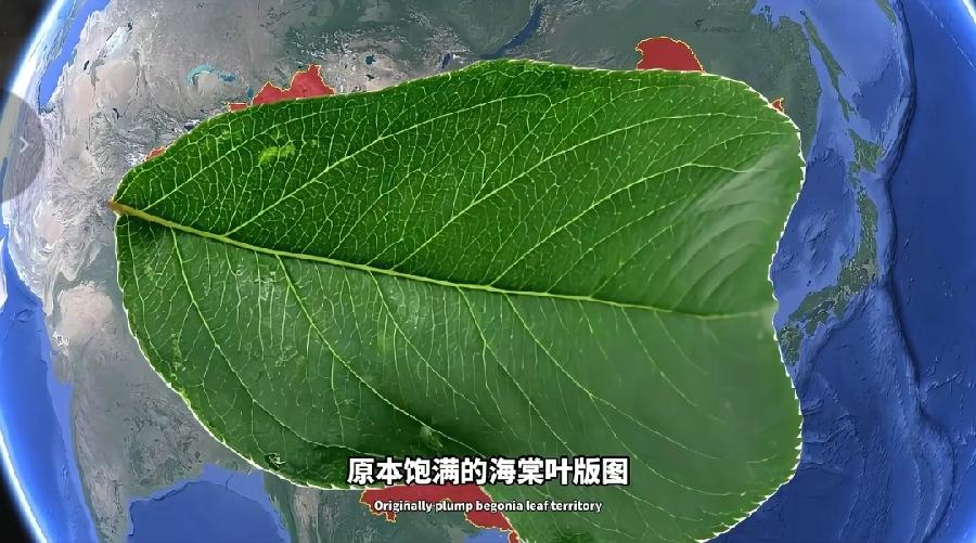 世人都知雄鸡图，还有多少人知道海棠国土是啥样？海棠叶长啥样？