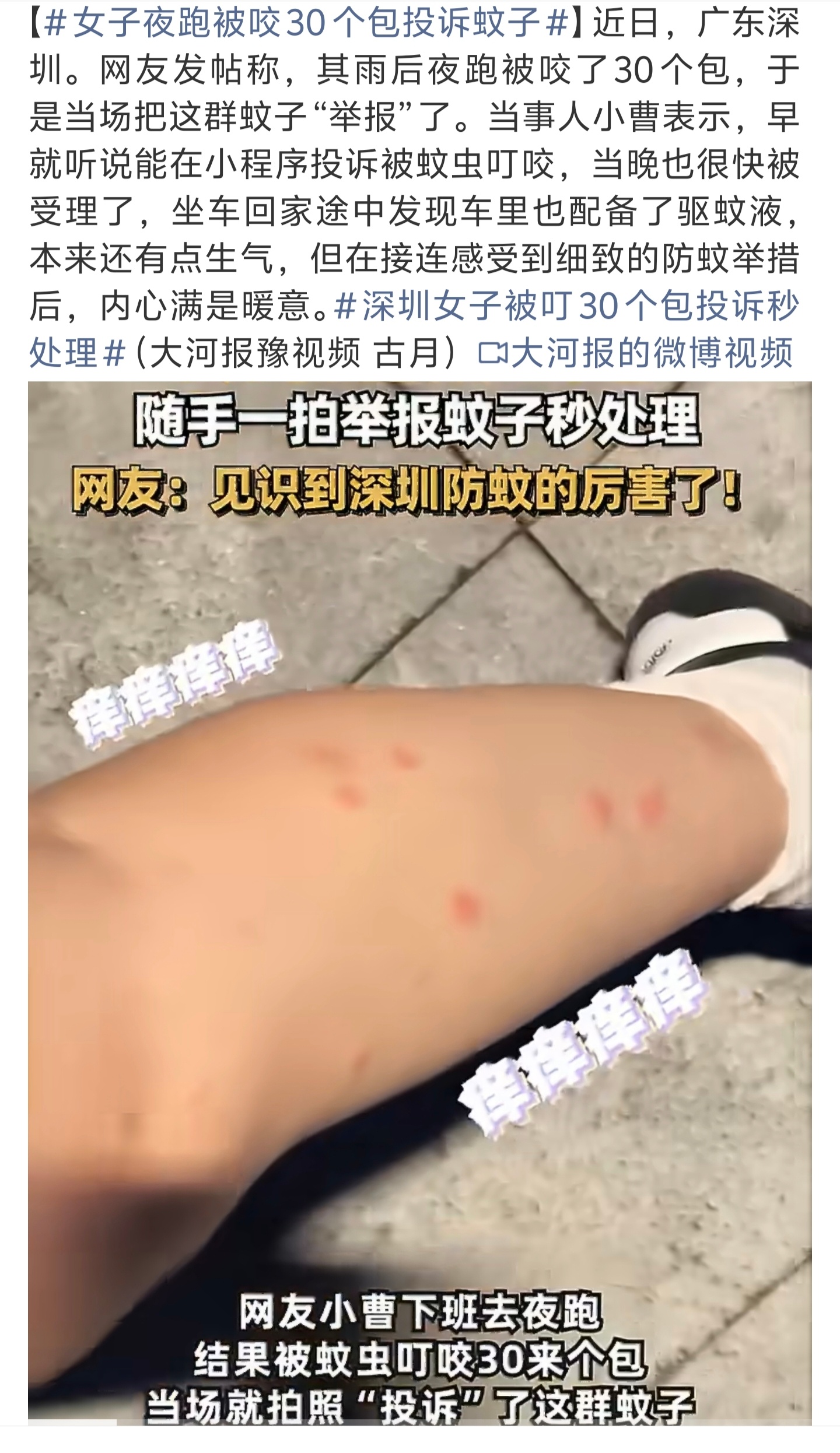 女子夜跑被咬30个包投诉蚊子 市民夜跑遭蚊虫叮咬，线上投诉快速办结。深圳依托数字