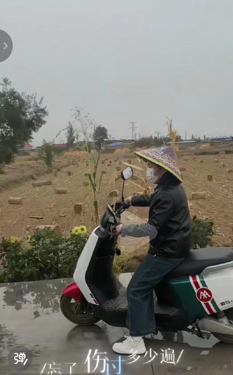 特别特别喜欢阿蛋嫂，个人感觉，她真的是女强人，一帮孩子，个个都教育的那么好，家里