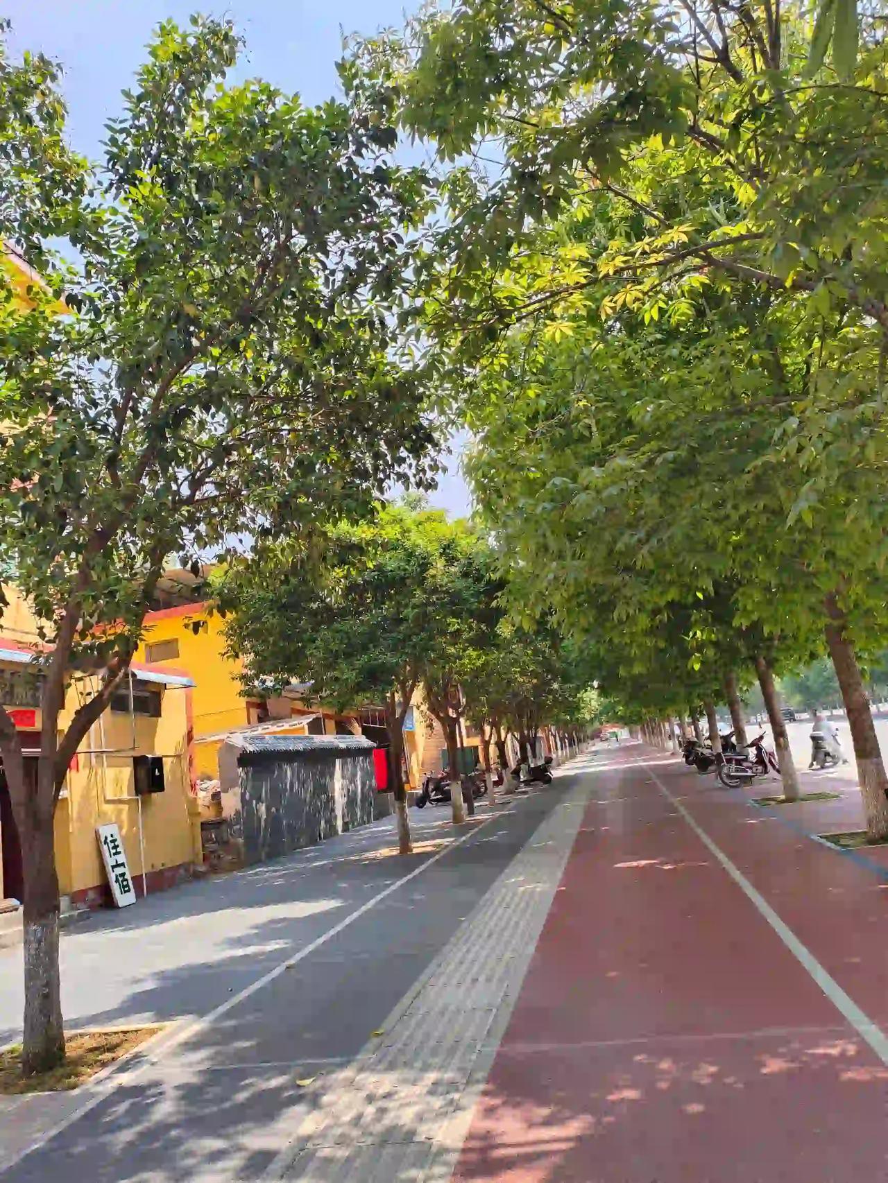 铜川耀州·药王山，藏着渭北高原最治愈的春天。既有漫山花海的浪漫，又有千年药韵的沉