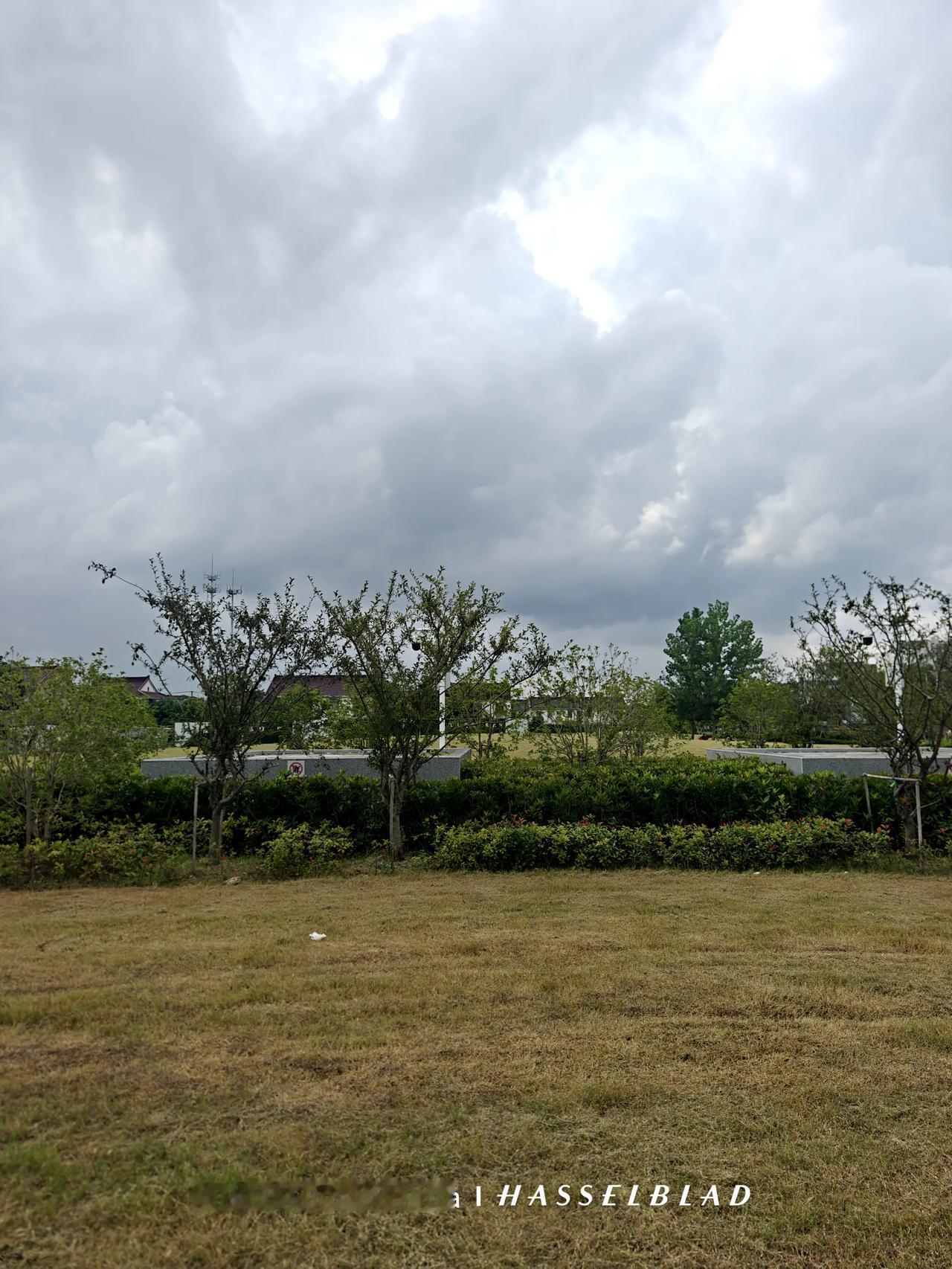 觅乐园。

每个人都有心里的乐园。对我来说，这片草坪就是我的觅乐园。

草木茂盛