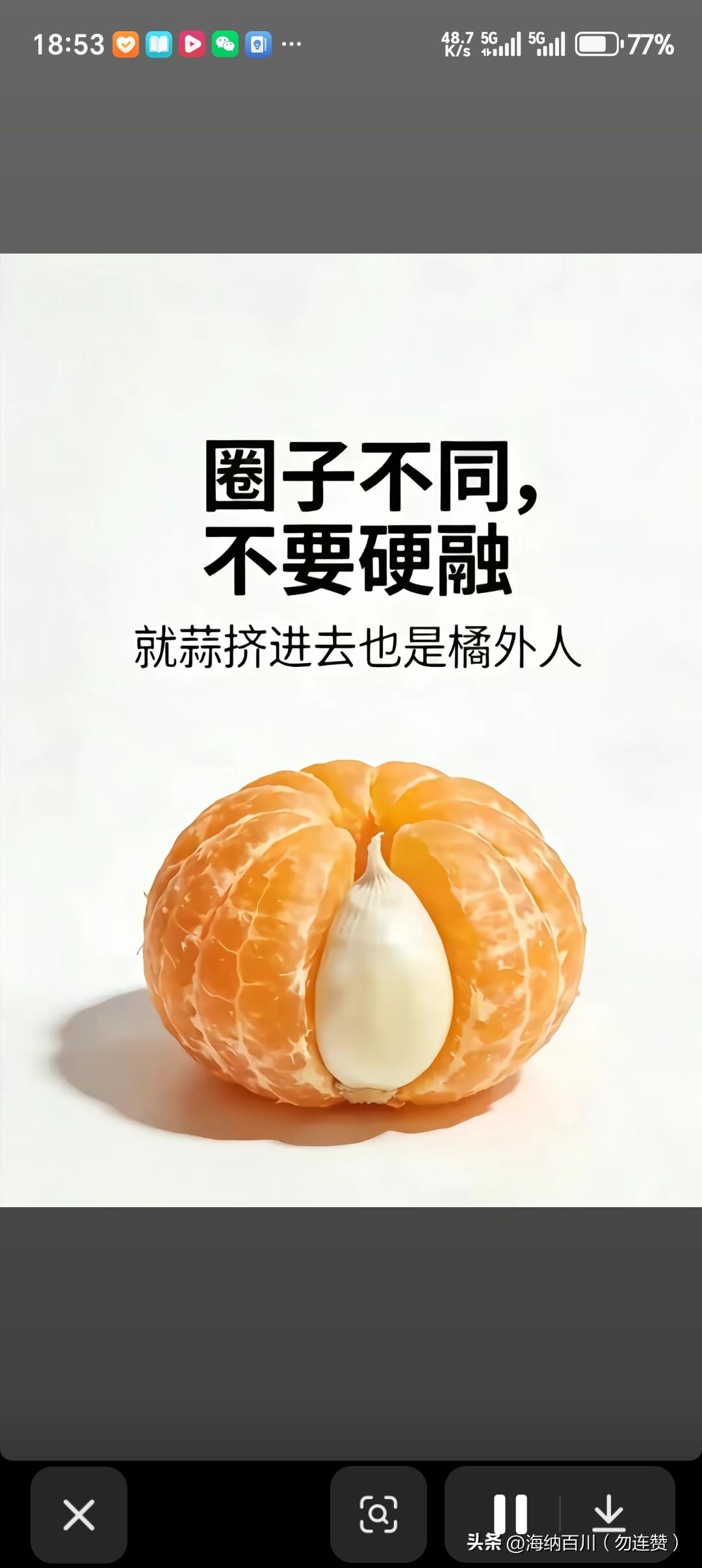 这张图片很有意思，寓意也很有道理。
圈子不同不要硬融，虽然桔子和蒜在形状上非常相