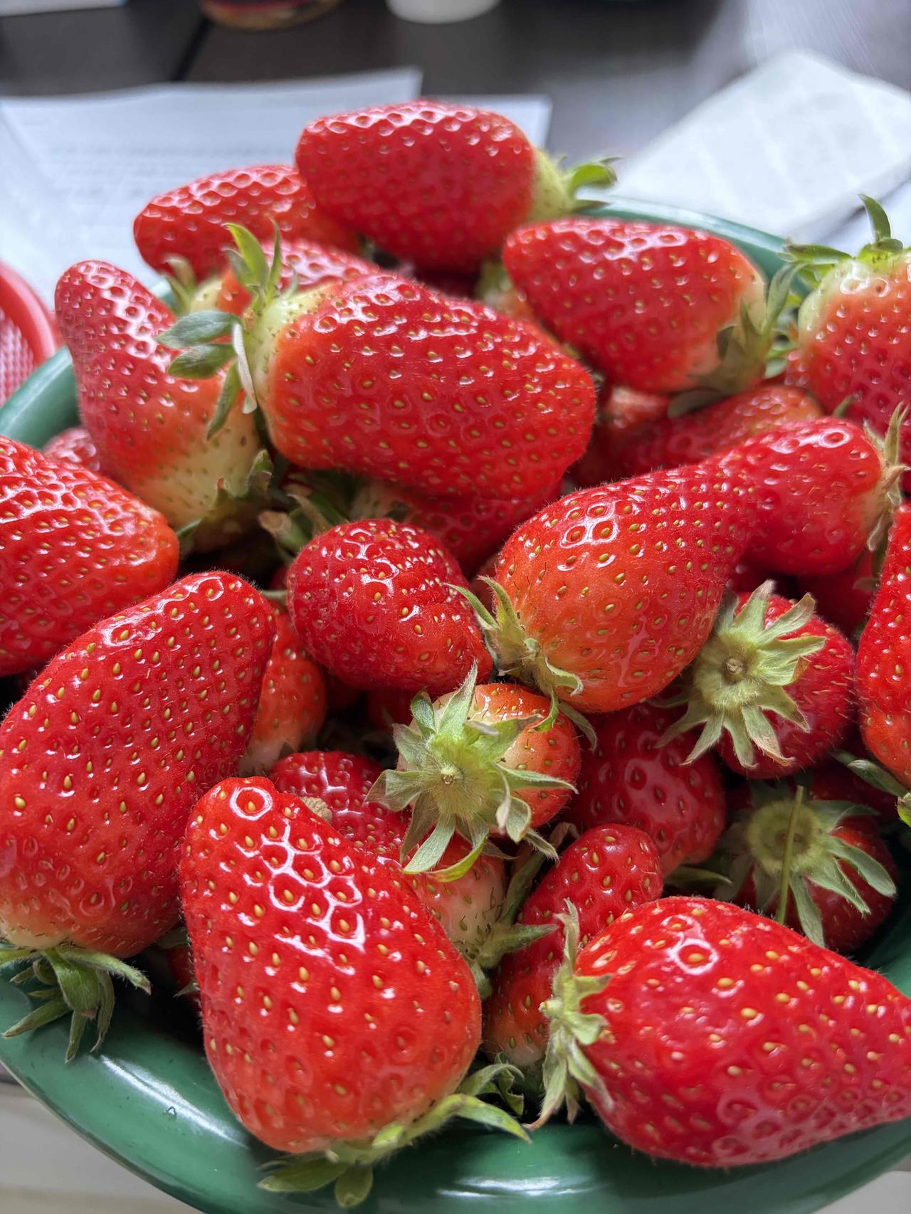 救命！这碗草莓也太诱人了吧！
色泽鲜亮，果香浓郁，每一颗都带着春天的气息，
光是