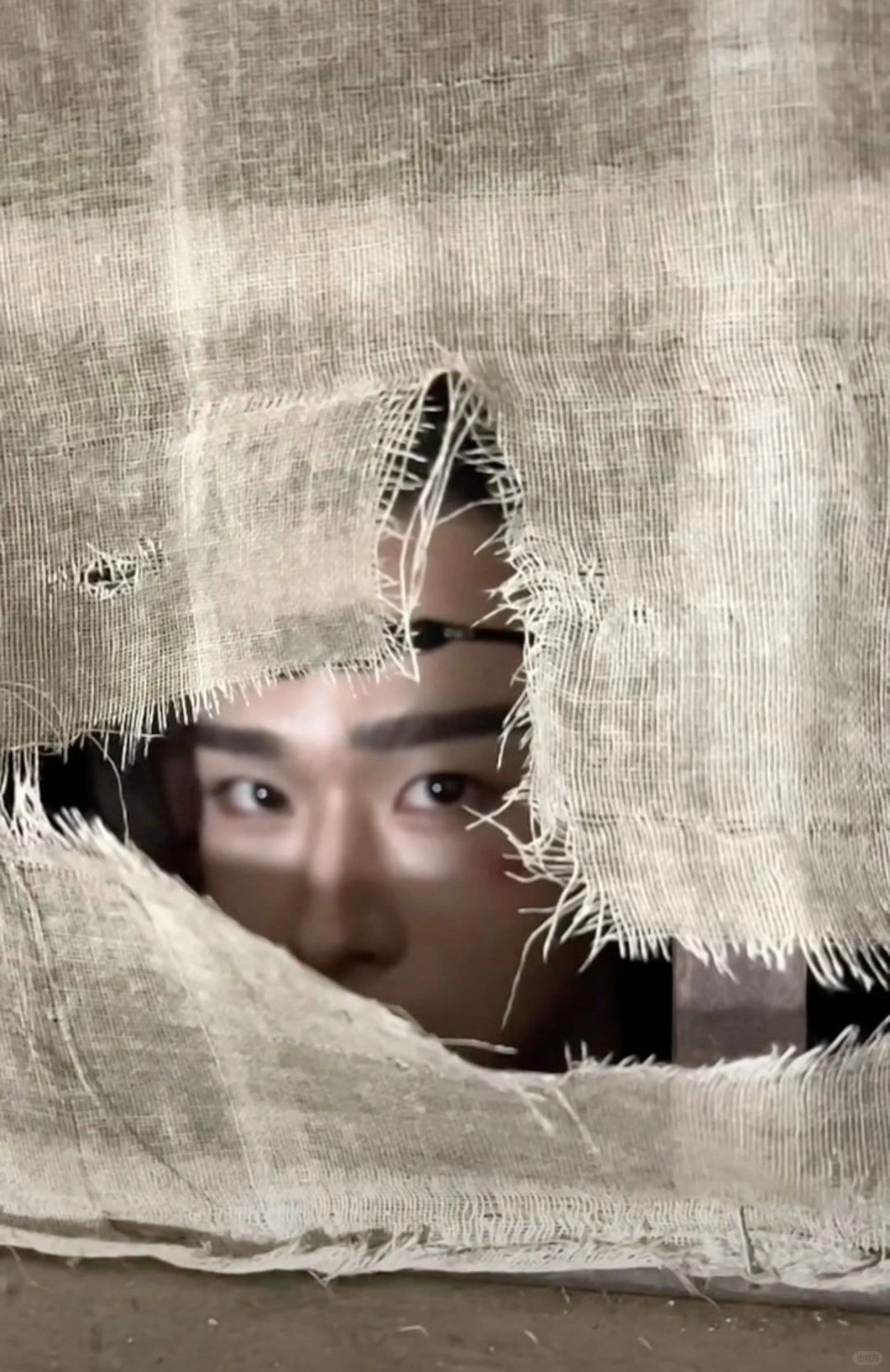 没有我宫三，全员完蛋我没开玩笑