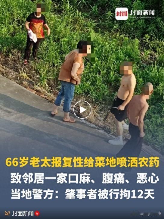 江苏启东，一66岁大妈与邻居因为琐事发生一些口角，心里有怨气，伺机在邻居家菜地喷