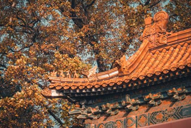 永乐十九年，一个暴君的诞生
