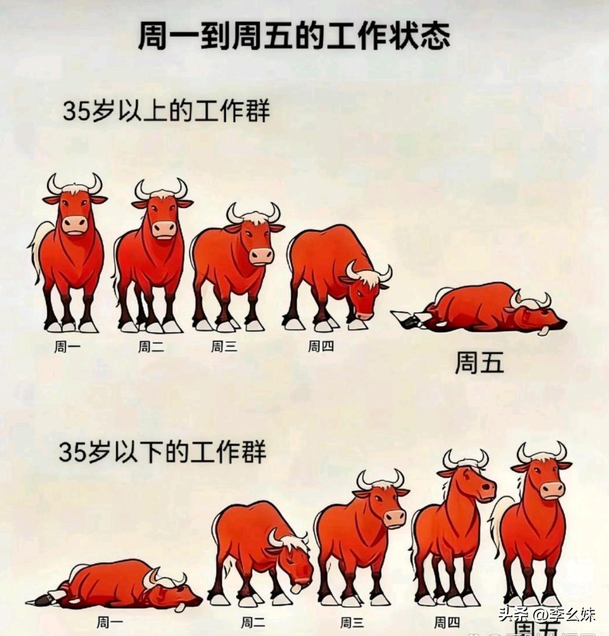 不同年龄阶段的工作状态，这也太真实了