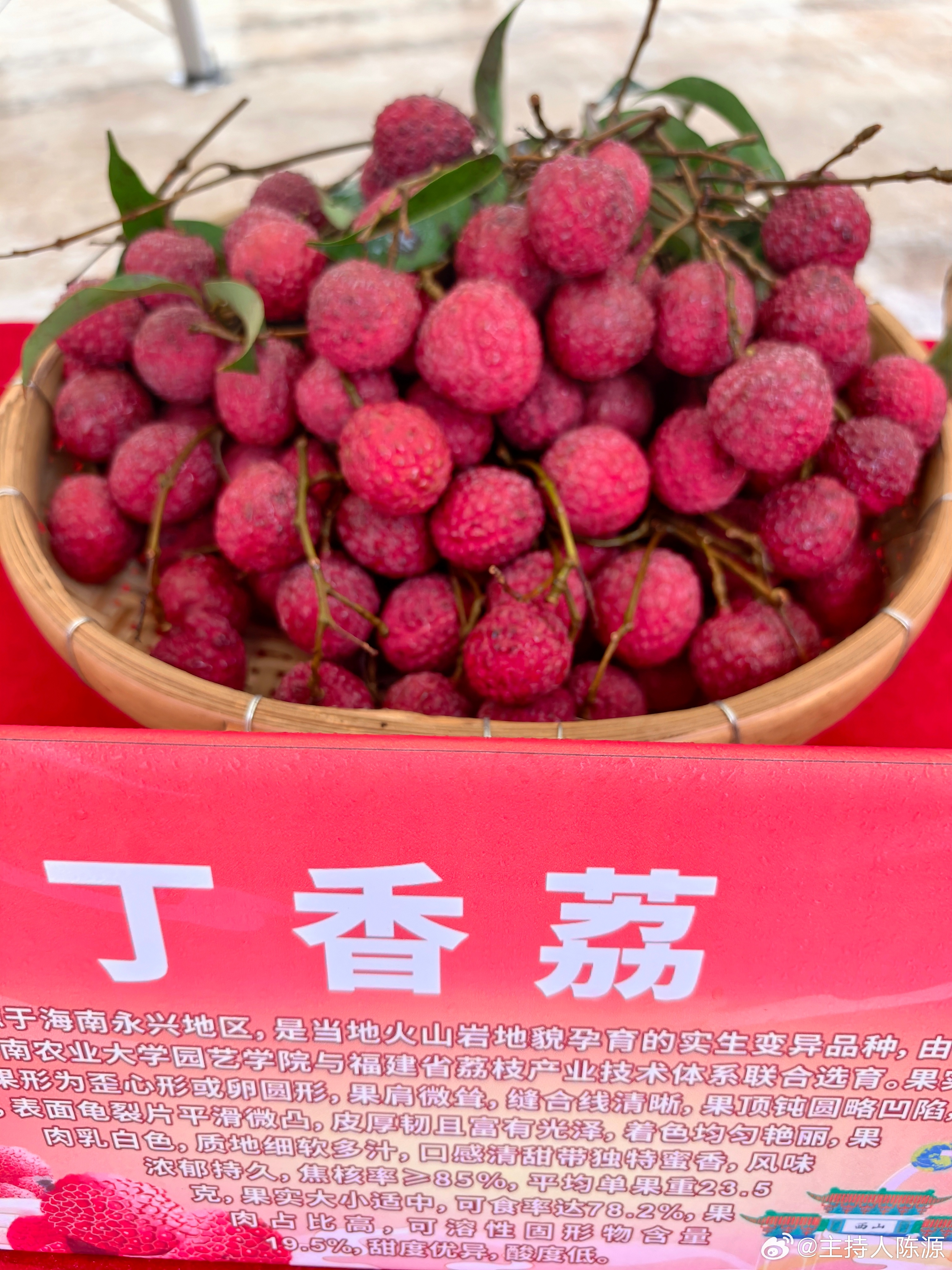 夏日鲜果天花板！自带仙气的麻垌荔枝来啦！桂平本土特产，高甜度、薄焦核，新鲜现摘直