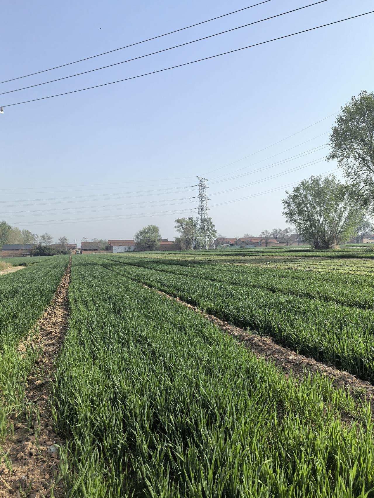 现在网上流行“发一张图片，让我猜出你在哪里拍的”这种挑战，还挺有意思。有个叫特雷