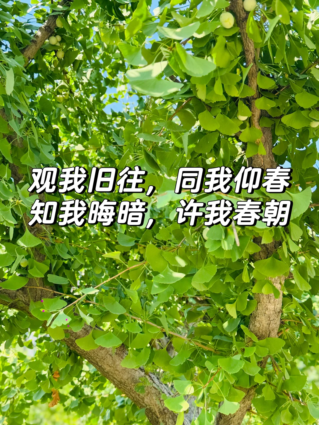 每个人都有不堪和阴暗面，但这并不重要 	 生活中总会有理解你、支持你的...