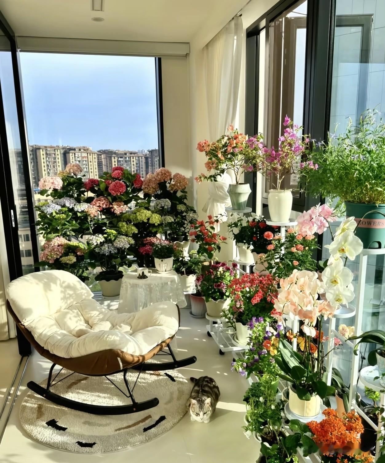 🌿𝑚𝑜𝑟𝑛𝑖𝑛𝑔🌈⛅️

幸福的另一个词叫，
今天很好。
——