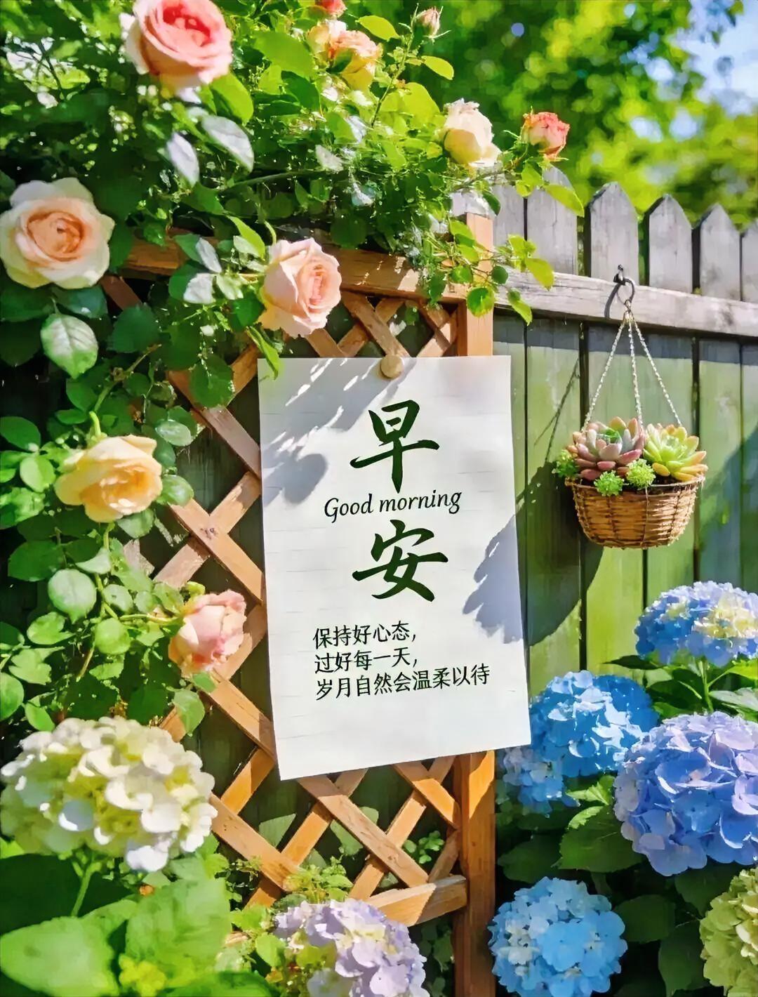 早安！花香满园，心若向阳，岁月自会温柔以待，每一天都值得被宠爱。