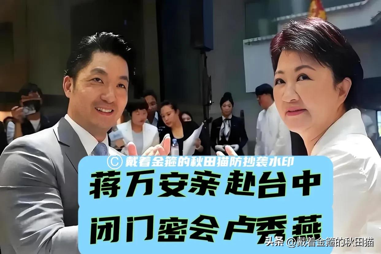 蒋万安又要放大招？蓝营一哥将南下密会蓝营一姐，郑丽文、蒋万安、卢秀燕三大太阳已形