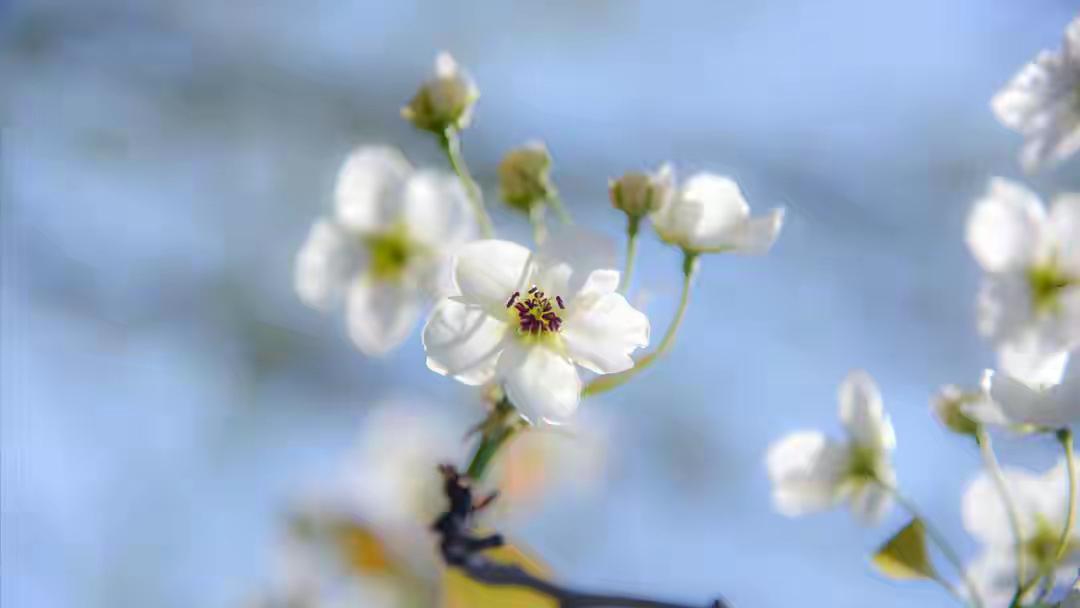 老伴退休选择离婚，隔天跟外面女人领证，5年后卧床身边空无一人

他当年搬走时只要