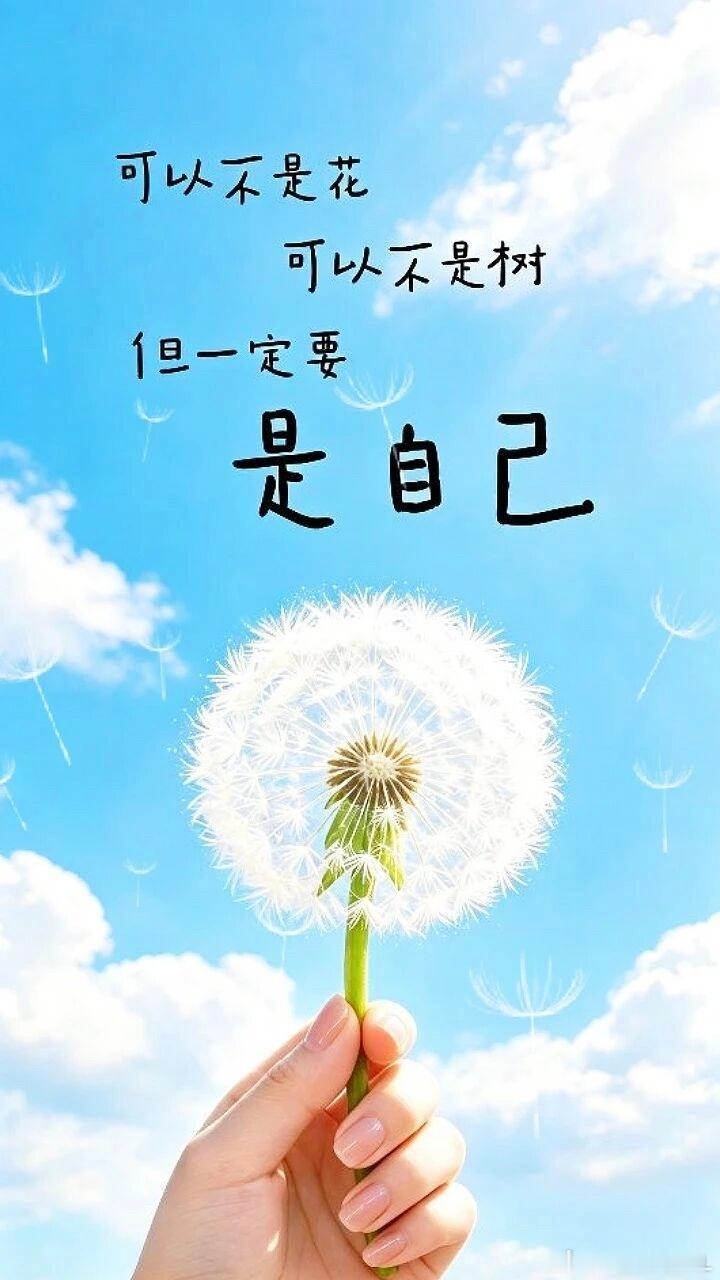 阳光信用 🌼𝕟𝕚𝕔𝕖 𝕕𝕒𝕪🧡快乐最美健康最贵愿我们生活万事两