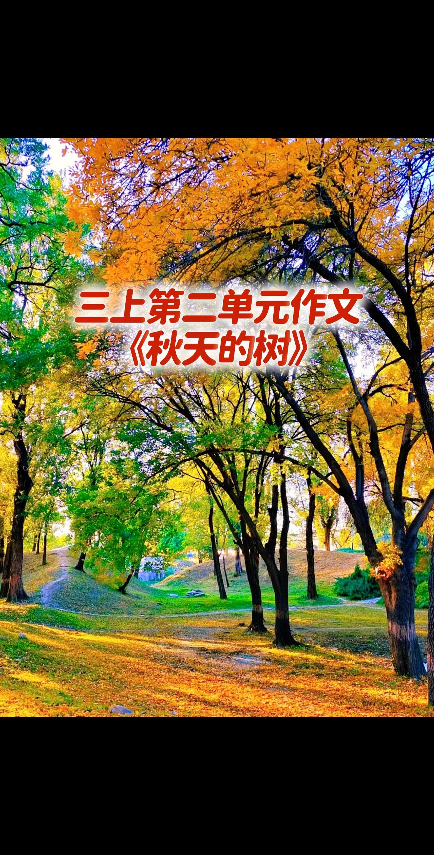 三上第二单元习作，同步优秀范文，送孩子！宝妈们，小学三年级上册第二单元...