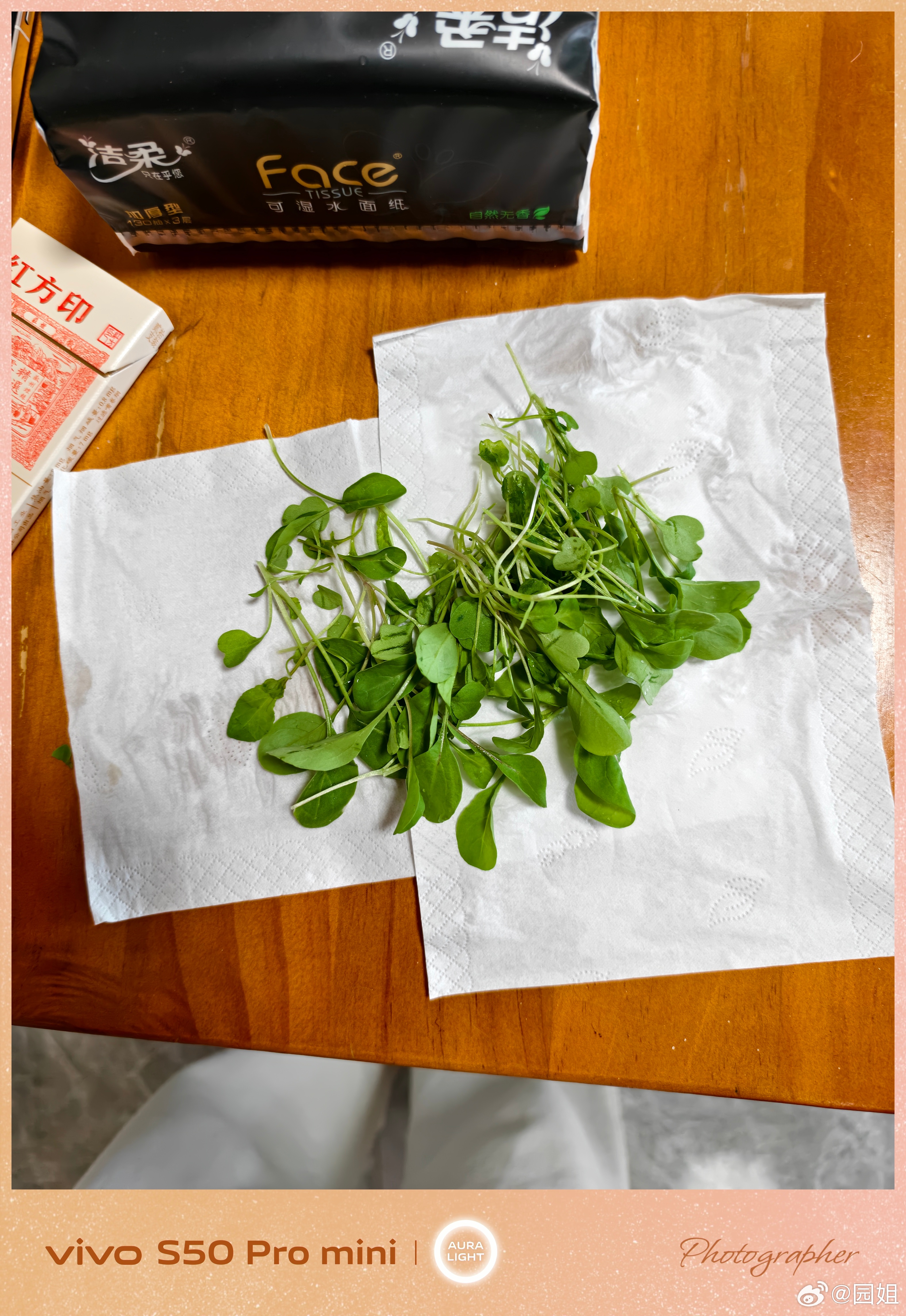 终于吃上自己种的菜了