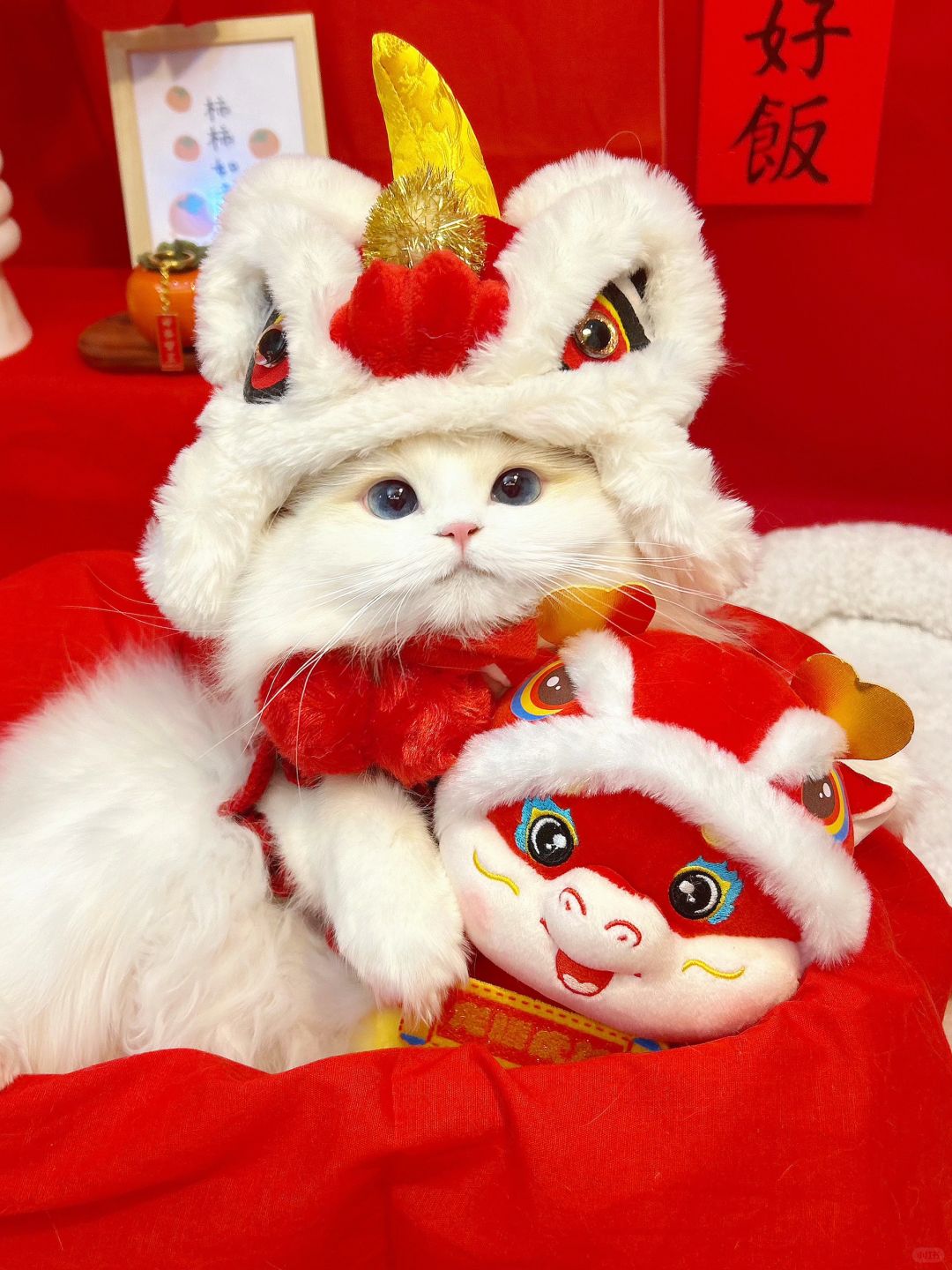 申请做ee的新年头像🙋