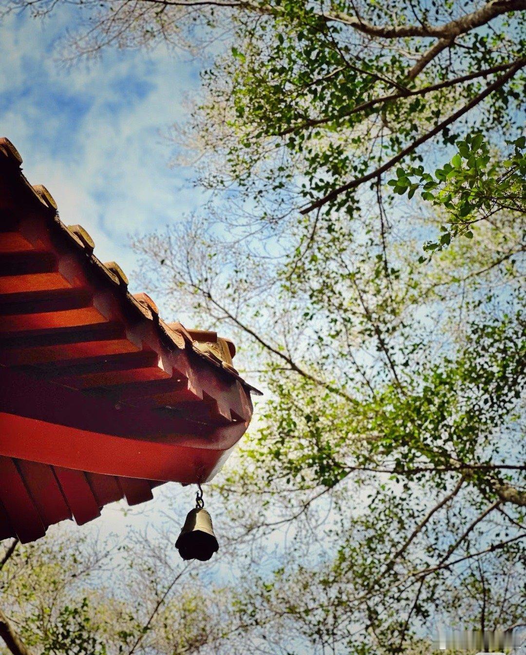 看到一段非常扎心的话：“其实你不是抑郁，只是没钱没爱，生理、经济、精神的需求，没