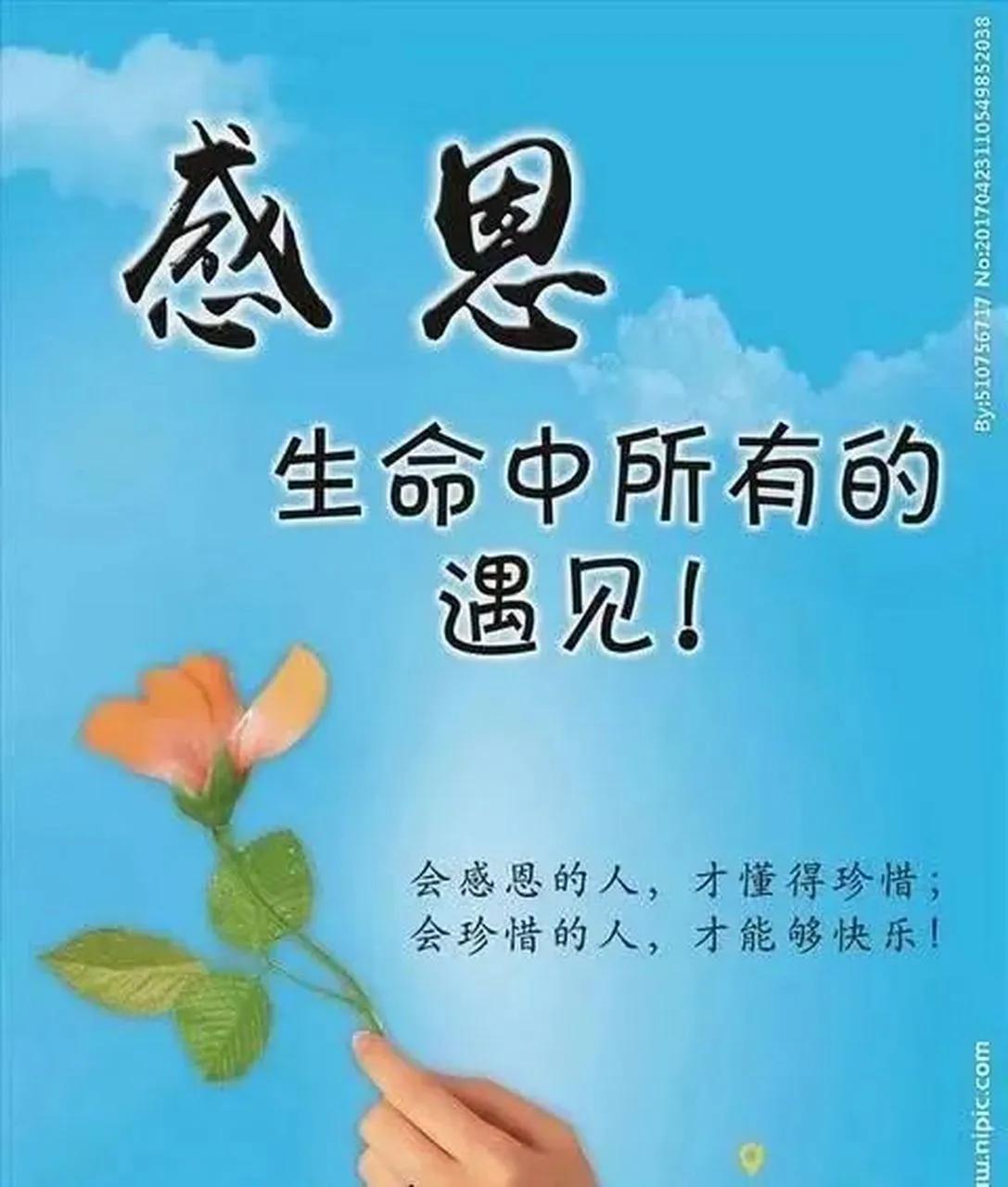 如此礼让——偶遇善良到骨子里的人

中午去寒亭佳乐家超市购物，返回单位时遇到一身