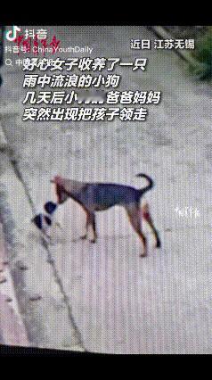 “解释不清了！”江苏一女子捡了一只流浪的小狗，就收养了，几天后，女子的丈夫回家后