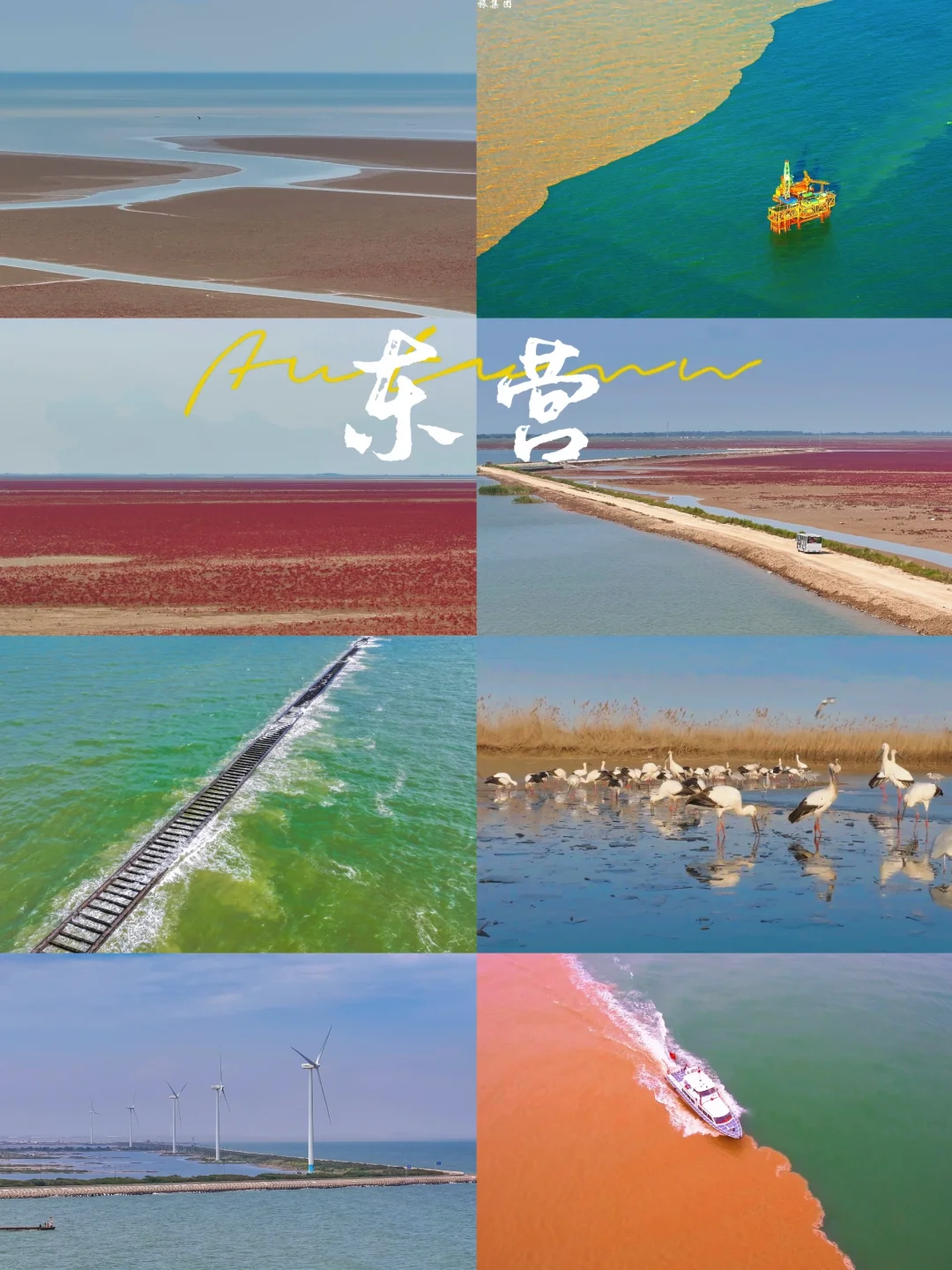 山东被低估的秋游城市东营‼️3天自驾攻略