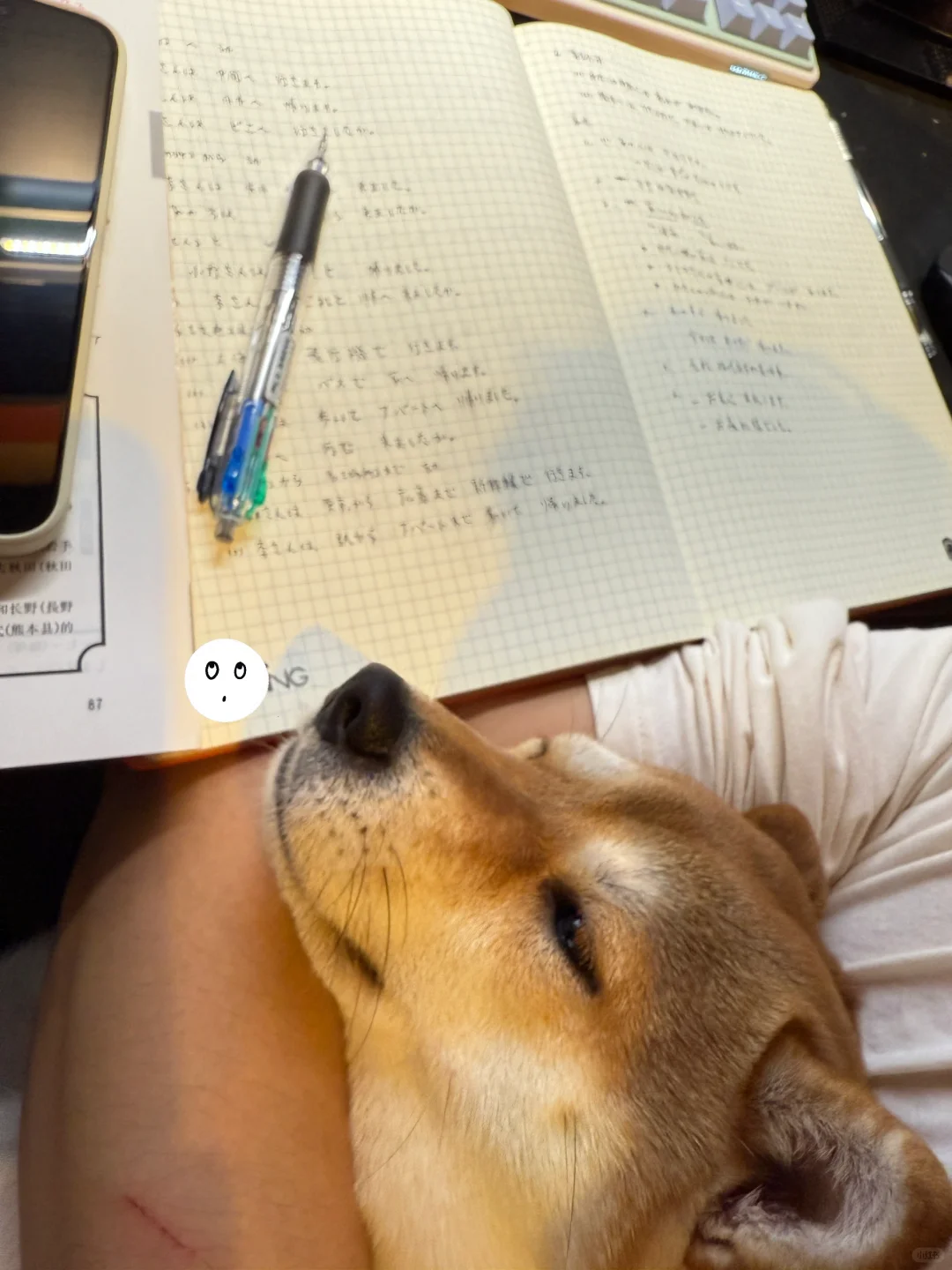 学八嘎语犯困（但是微笑唇