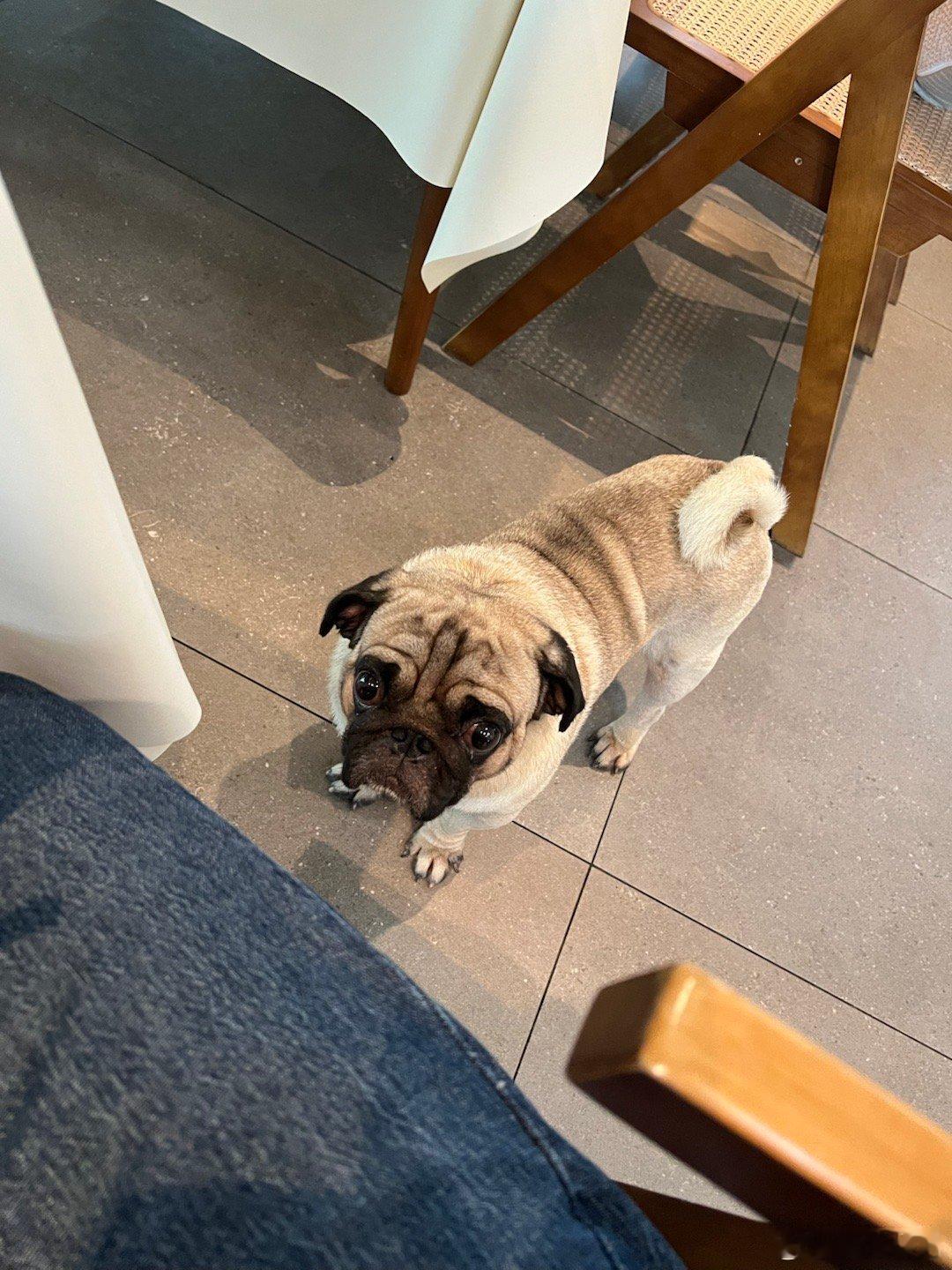 你也不能say hi ​​​