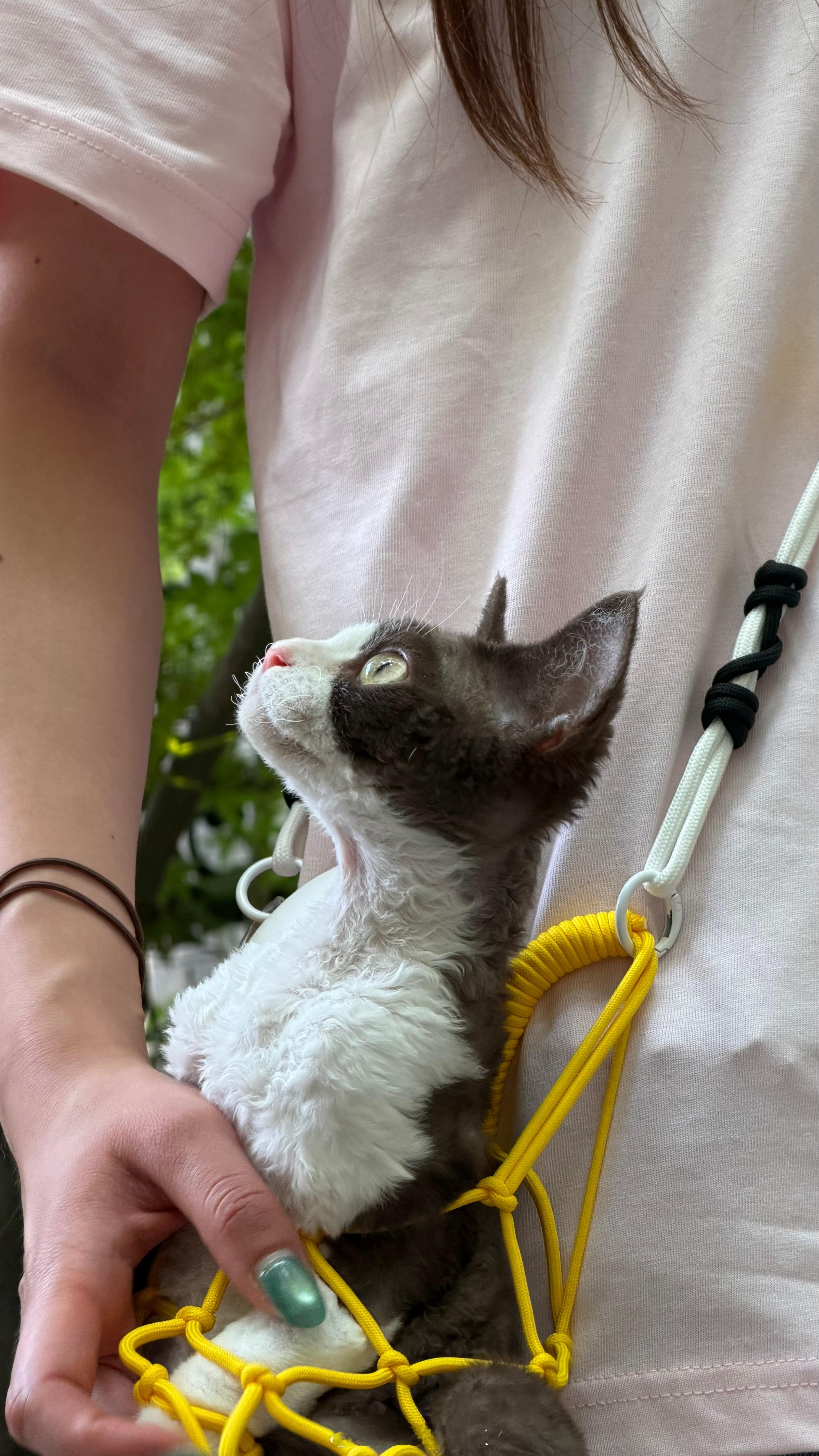 猫包已经进化成这样了毛孩子背上GOAL BAG球网包直接潮出圈，这哪里是普通出行