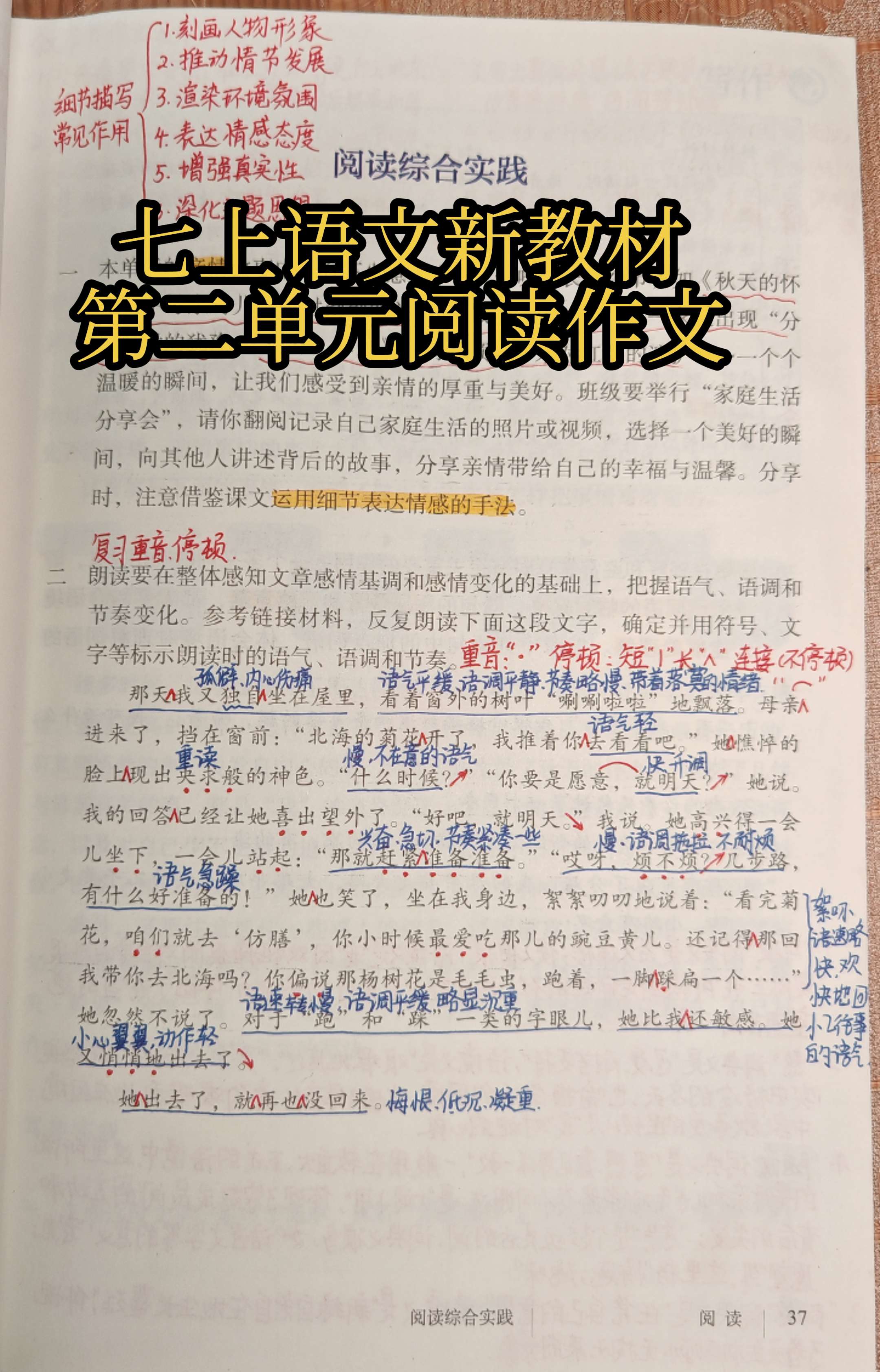 七上语文课堂笔记-第二单元阅读&写作。2单元阅读综合实践。在复习重音和...