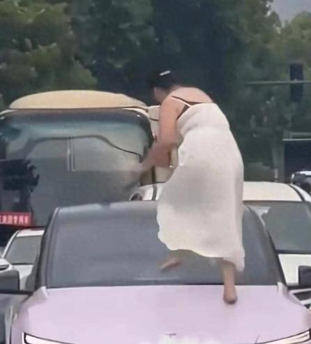 认怂流泪也晚了！洛阳砸车女致多车损伤，精神病不是免责金牌，知情者曝光更多细节，她