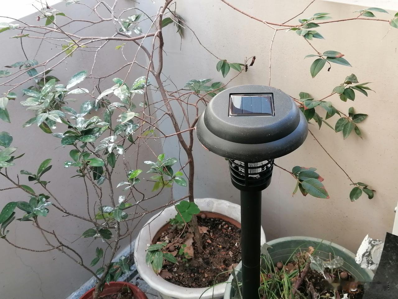 刚刚我给阳台装了两盏太阳能灭蚊灯。

正好今天太阳比较大，可以充分储存电能，等晚