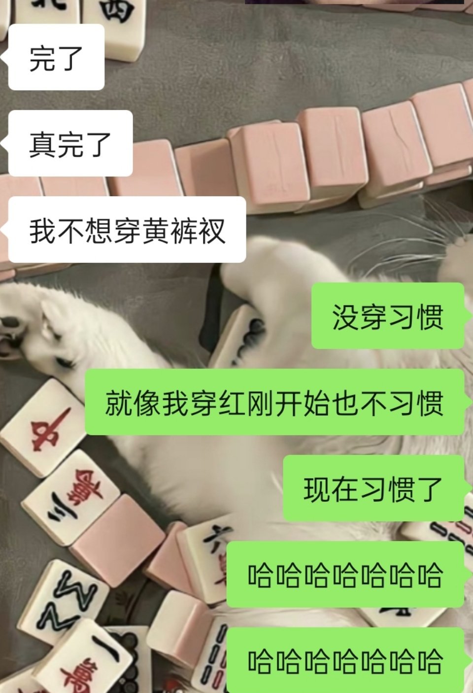 我不行了   我真笑的不行  我刚开始红也不习惯  现在已经习惯了  哈哈哈哈哈