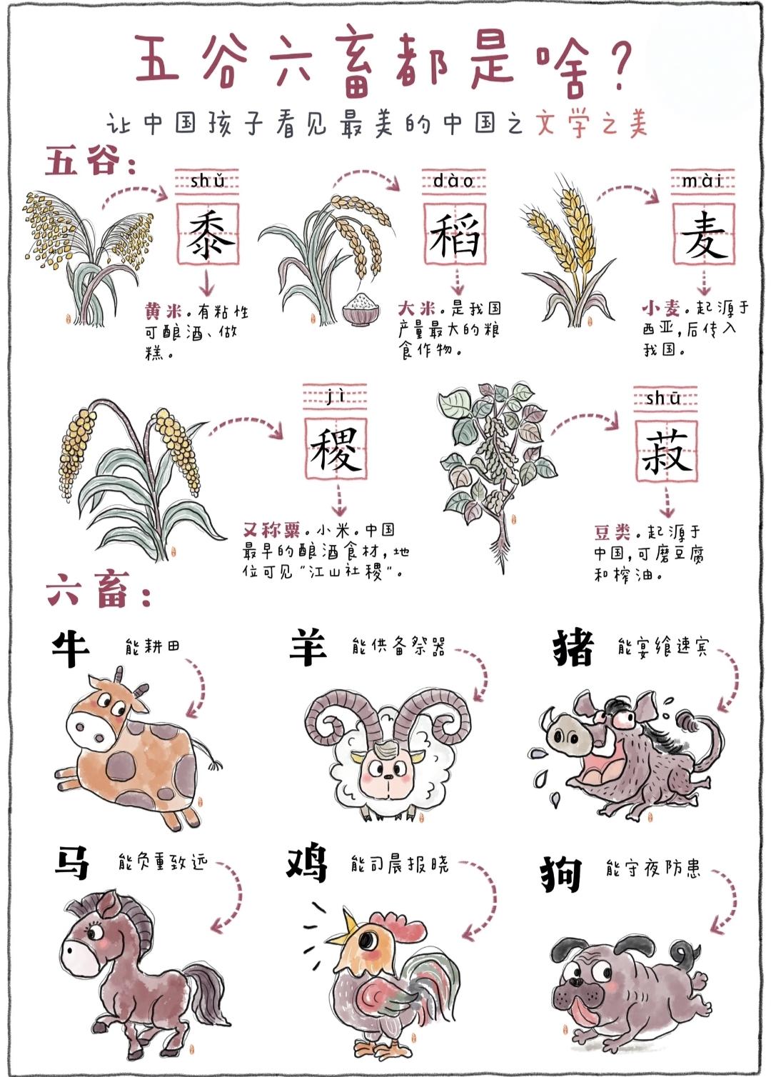 【五谷六畜】稻黍稷麦菽为五谷，马牛羊鸡犬豕成六畜，藏尽华夏农耕本源。五谷六畜