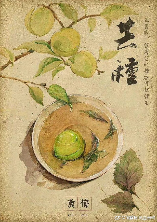 今日，芒种。