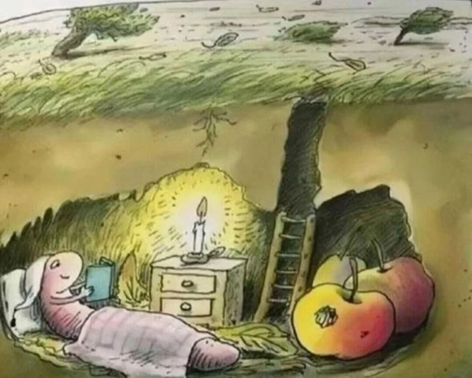 继续涨。超乎想象。上一次这么强的一月，不记得了黄仁勋称后悔卖英伟达股票买车今日看