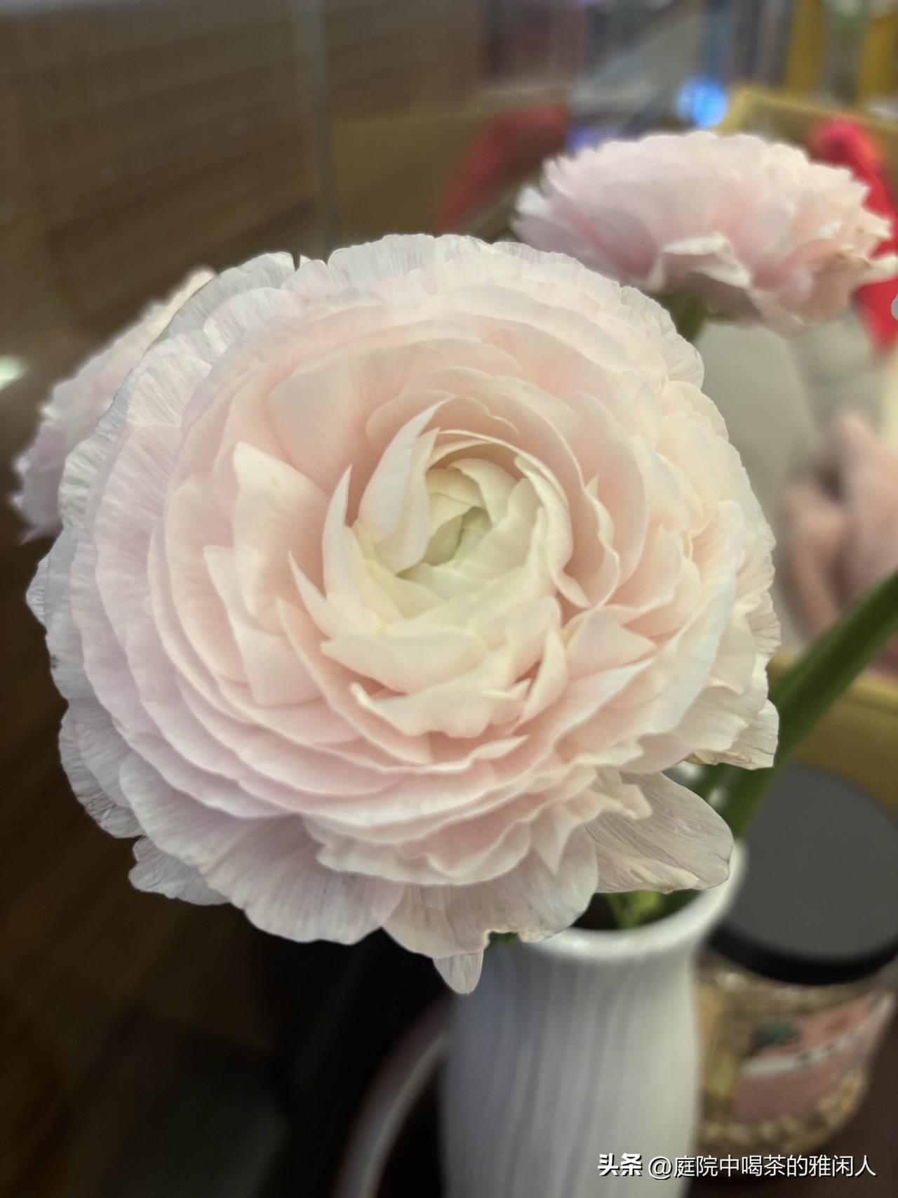 直到今天我才真正看清，亲戚之间最忌讳的，就是伸手去管别人的家事，哪怕出发点全是为