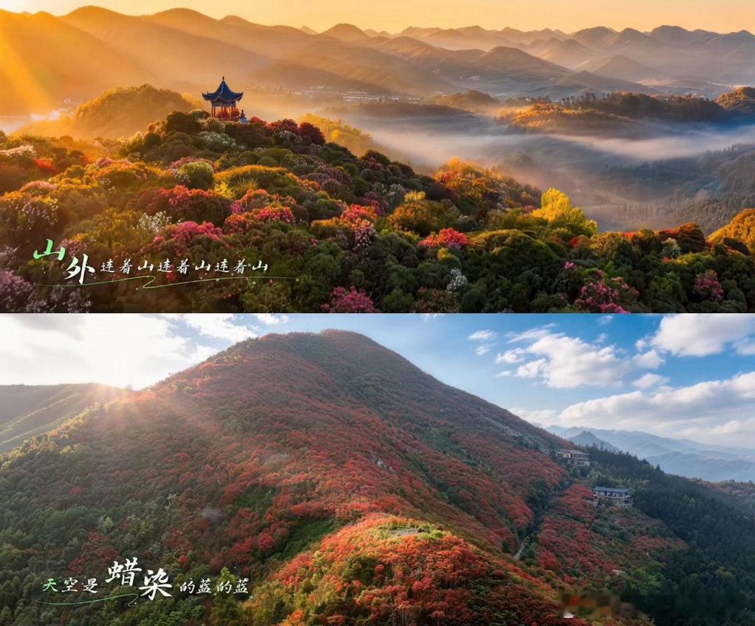 周深新歌每个人MV看完周深新歌MV已经站在山上了✨速来打卡周深献给家乡贵州的《每